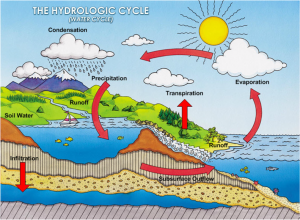 Hydrologic Cycle.jpg