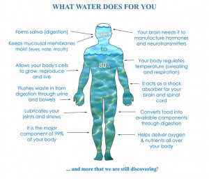 What water does for you